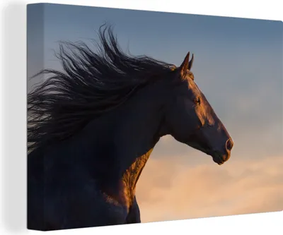 Produktbild von OneMillionCanvasses® - Leinwandbilder - 150x100 cm, Pferd - Luft - Mähne, Wandbilder Kunstdruck Wanddekoration