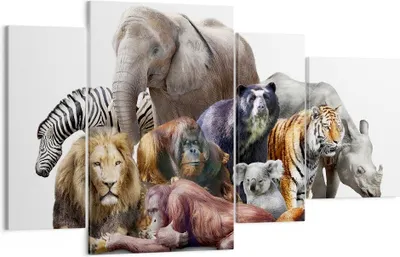 Produktbild von Bild auf Leinwand - Leinwandbild - Tiere Koala Löwe Affe - 120x70cm - Wand Bild - Wanddeko - Leinwanddruck - Bilder - Kunstdruck - Wanddekoration - Leinwand bilder - Wandkunst - DL120x70-3166