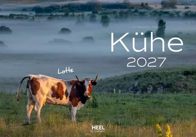 Produktbild von Kühe Kalender 2027 Wandkalender