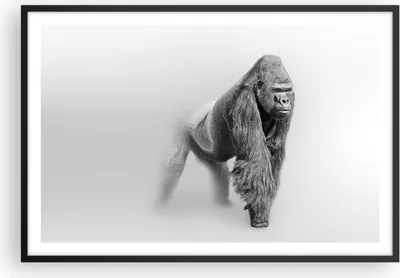 Produktbild von Gerahmtes Poster - Schwarzer Rahmen - Orang-Utan Tier - 91,5x61 cm - Wand Bild - Wanddeko - Wandbilder - Kunstposter - Wandposter - Bilderrahmen - Bilder - Kunstdruck - Wandbild - P2BAA91x61-4105
