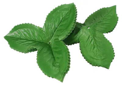 Produktbild von 500 Stück künstliche grüne Blätter für Blumenarrangements