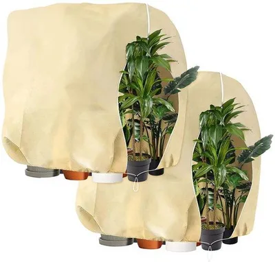 Produktbild von Winterbeschermkappe für Pflanzen 250 x 360 cm, vorstbeständig