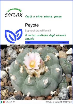 Immagine prodotto di SAFLAX  - Peyote - 20 semi - Lophophora