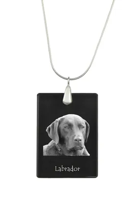 Produktbild von Labrador Retriever - Kristallanhänger mit Hund, Silberhalskette mit Foto, personalisierter Anhänger der Marke Art-Dog