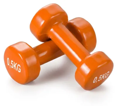 Produktbild von Vinyl Kurzhanteln 0,5 kg 2er-Set für Krafttraining, Fitness und Reha, KI-generiertes Bild