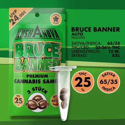 Immagine prodotto di Semi di cannabis Kushanova - Bruce Banner