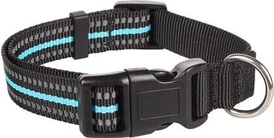 Image de Collier à clic pour chiens bleu taille M