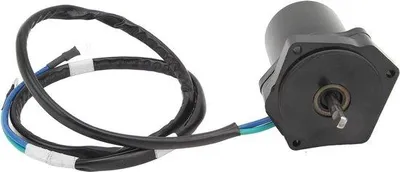 Zdjęcie produktu dla Silnik zaburtowy 12 V, 4-suwowy, z elektrycznym silnikiem trymującym, 50–60 KM