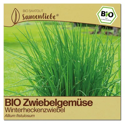 Produktbild von Samenliebe  Winterheckenzwiebel Samen | Zwiebelgemüse - winterhart & mehrjährig - samenfestes  Saatgut