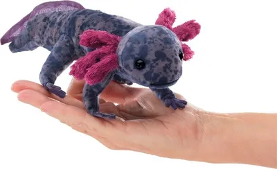 Produktbild von Folkmanis Fingerpuppe Axolotl schwarz/pink Stofflurch Handpuppe