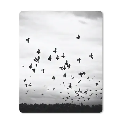 Produktbild von MuchoWow® Mauspad Mousepad Tiere - Vögel - Wolken - Schwarz - Weiß 30x40 cm - Mousepads - Maus Mat - Pad - Mausunterlage - Mausmatten