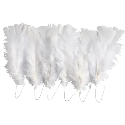 Produktbild von Creativ Company Federn, L: 11-17 cm, weiß, 18 Knäuel 1 Box