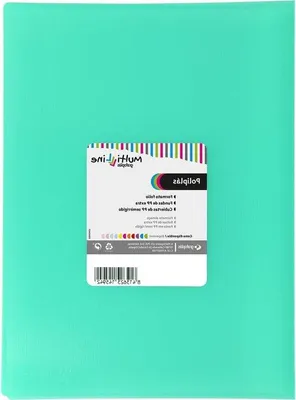 Obrázek produktu pro Složka na dokumenty s průhlednými zásuvkami – projektová složka – na ukládání dokumentů – 50 průhledných přihrádek – 33 x 23,9 cm – světle zelená