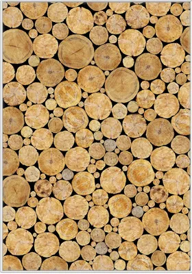 Produktbild von Wallario Wandbild Holzstapel rund, Größe: 70,30 x 100,30 cm, Poster mit weißem Kunststoffrahmen