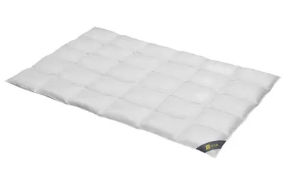 Produktbild von Daunendecke 155x220 cm 100 % Gänsedaunen   Bettdecke Steppdecke Daunen SPESSARTTRAUM GOLD