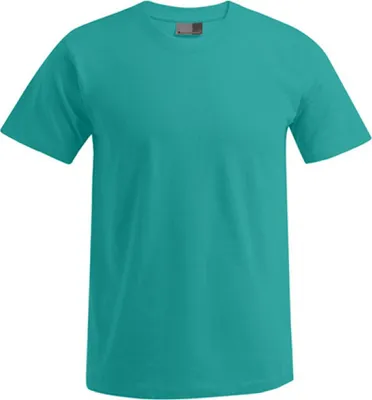 Image de Promodoro 3000/3099 | MenŽs Premium T-Shirt Homme - jusqu'à 5XL - Couleur : Jade - Taille : 3XL