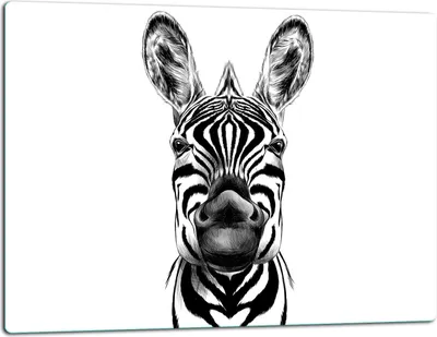 Produktbild von Glasschneidebrett Herdabdeckplatte Glaskeramikkochfeld Universal 52x40 cm Zebra Weiß