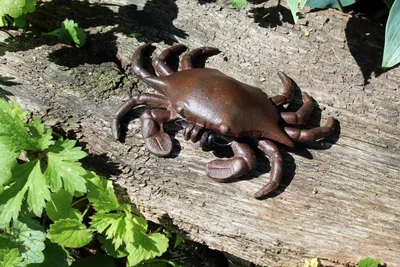 Immagine prodotto di Statua da giardino di granchio in ghisa
