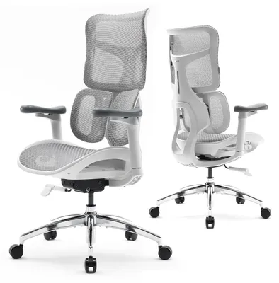 Immagine prodotto di Sedia da ufficio - Sedia per ufficio - Sedia da gaming - Sedia da ufficio - Sedia ergonomica - Supporto lombare regolabile