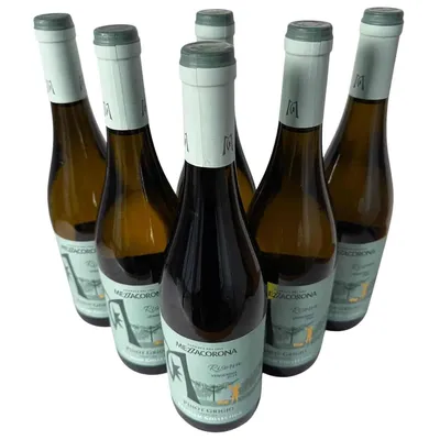 Produktbild von Pinot Grigio Riserva Trentino DOC 2024 - Mezzacorona - 6 x 0,75L - Weißwein