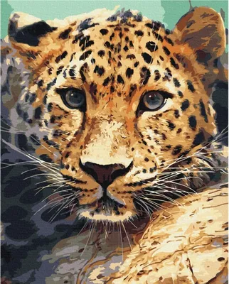 Immagine prodotto di Dipingere con i numeri Brushme 40x50 cm - Ritratto di leopardo