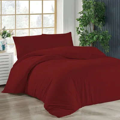 A bedroom scene with a bed made with red bedding.