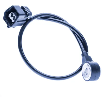 Image de Capteur de cliquetis Einparts pour Ford Focus, Galaxy, Fiesta, Mondeo et Kuga