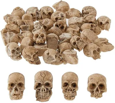 Image de Miniatures de squelettes d'Halloween : 40 petits squelettes miniatures pour la décoration