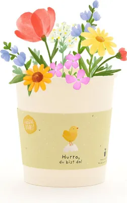 Produktbild von „Hurra, du bist da“-Becher – Anzuchtset mit Wildblumen-Saatgut – Pflanzset mit Kokos-Quelltablette, Anzuchtbecher & Anleitung – Nachhaltige Geschenkidee zur Geburt, Taufe & Babyparty