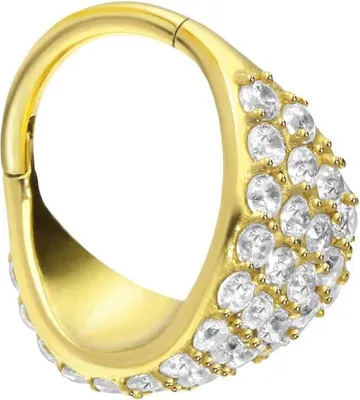 Produktbild von Ohrpiercing, Nasenpiercing, Septum Piercing Chirurgenstahl Segmentring Clicker EINGEFASSTES KRISTALLSCHILD