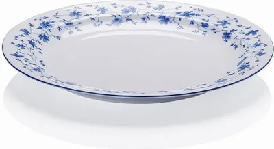 A white plate with a blue floral pattern around the rim, set against a white background with a shadow.