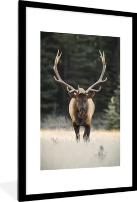 Produktbild von MuchoWow® MuchoWow® Gerahmtes Poster Hirsch - Baum - Geweih 60x90 cm - Poster mit zchwarzem Bilderrahmen - Dekoration - Wandposter Wohnzimmer - Hochwertig