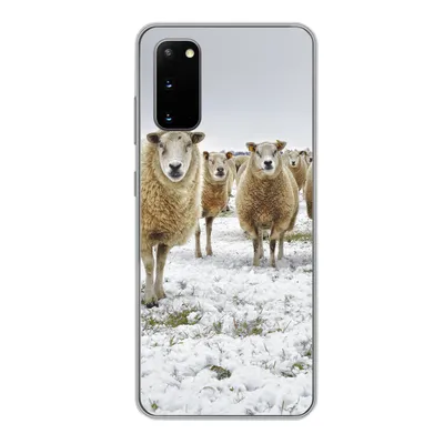Produktbild von MuchoWow® Handyhülle Schutzhülle Hülle für Samsung Galaxy S20 Schafe - Wolle - Schnee Silikon Softcase Handy Hülle - Bild
