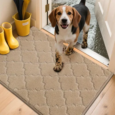 Immagine prodotto di Tappetino interno antiscivolo, 60 x 90 cm, beige, ideale per raccogliere lo sporco, lavabile