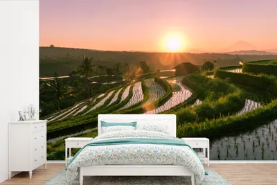 Produktbild von Fotobehang mit Reisfeldern in Indonesien bei Sonnenuntergang - Breite 450 cm x Höhe 300 cm