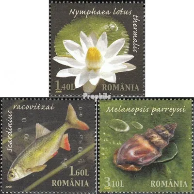 Produktbild von Briefmarken Rumänien 2008 Mi 6334-6336 (kompl.Ausg.) postfrisch Naturschutzgebiet