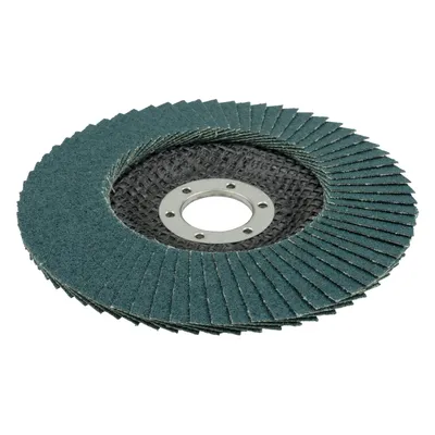 Image de Disque à Lamelles Abrasives Gr60 ø125 Mm