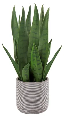 Image de Sansevieria artificielle, plante d'intérieur artificielle, plante décorative, 40 cm de haut, dans un pot en ciment.