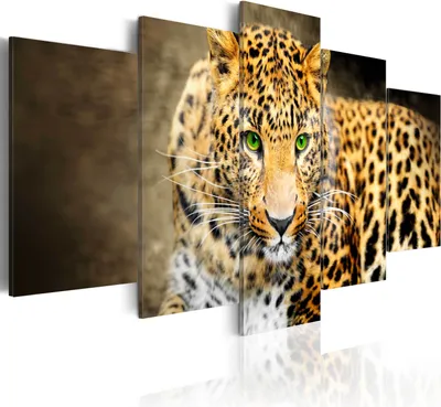 Image de Tableaux muraux, thème : animaux, nature, léopard sauvage, dimensions 200x100 cm, ensemble de 5 pièces – Tableaux modernes sur toile, impressions sur toile, décoration murale pour chambre, tableaux sur toile, référence g-A-0086-b-n