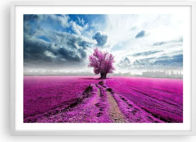 Produktbild von Gerahmtes Poster - Weißer Rahmen - Heidefeld Baum Wolken Landschaft - 70x50 cm - Wand Bild - Wanddeko - Wandbilder - Wandposter - Bilderrahmen - Bilder - Kunstdruck - Wandbild - P2WAA70x50-2547