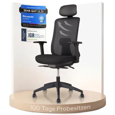 Produktbild von ErgoPrime PRO Bürostuhl ergonomisch, Kopfstütze, Höhenverstellbar, 3D-Armlehnen, Lordosenstütze, bis 150kg Belastung [Ergonomie-Favorit]
