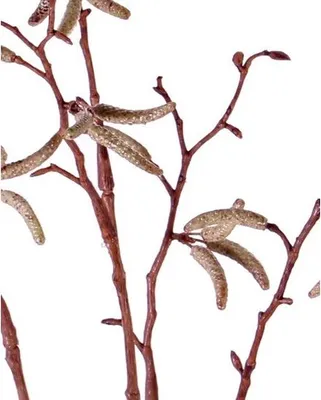 Produktbild von Bellatio Blumen & Pflanzen Kunstlicher Zweig - Birkenkatzchen - 66 cm