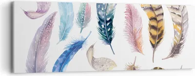 Produktbild von Bild auf Leinwand - Leinwandbild - Federn Vögel Tiere Komposition - 90x30cm - Wand Bild - Wanddeko - Leinwanddruck - Bilder - Kunstdruck - Wanddekoration - Leinwand bilder - Wandkunst - AB90x30-2894
