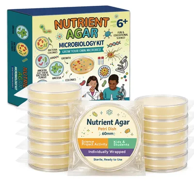 Agar-Platten-Set, 12 Stück, 6 cm, mit Wattestäbchen, Pipetten und Flaschen