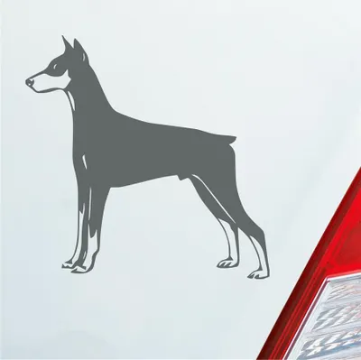Produktbild von Auto Aufkleber Dobermann Hund Dog Animal Tier 10x10 cm Grau Sticker Heckscheibenaufkleber