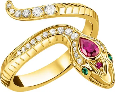 Obrázek produktu pro Thomas Sabo  TR2304-488-7-60