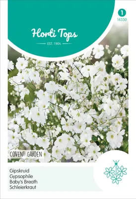 Image de Gypsophile Covent Garden Blanc | Graines de fleurs Hortitops
