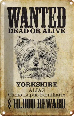 Produktbild von vianmo Blechschild 18x12 cm Hund wanted dead Yorkshire Tier Haustier