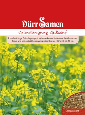 Produktbild von Gründünger Gelbsenf Portionstüte 80 g | Gründünger von Dürr Samen