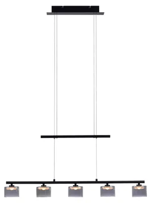 Produktbild von Paul Neuhaus Led Hängeleuchte Hydra Hängeleuchte Deckenlampe Lampe 5 Fl. Schwarz